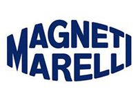 Главный цилиндр, система сцепления MAGNETI MARELLI 360313030129